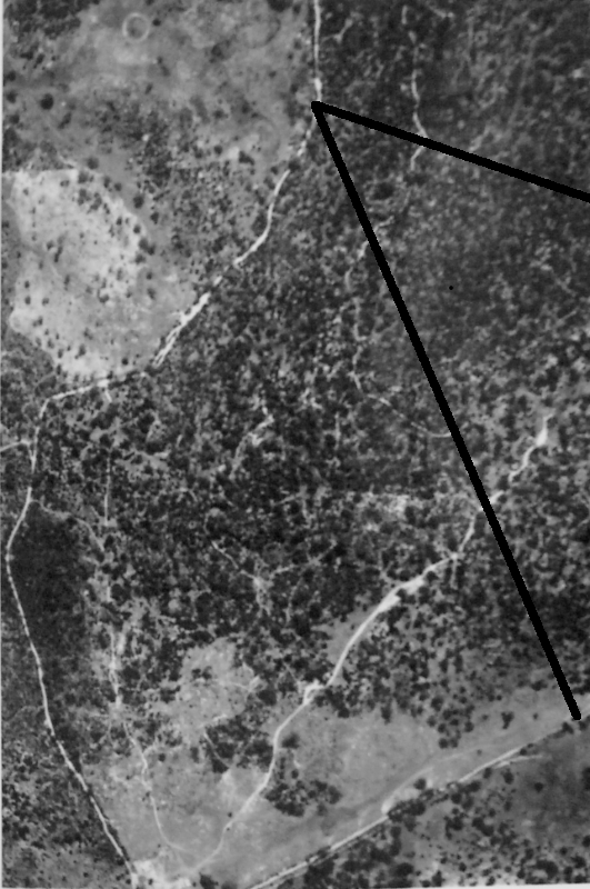 aerial photo showing part of farm in 1949